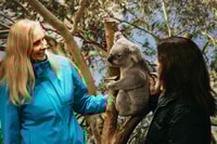 シドニー、ブルーマウンテンズ自然、野生生物ツアーから - Housity