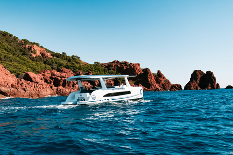 Marseille: An exceptional day by catamaran in the heart of the Calanques Marseille: Exceptional day on a catamaran in the heart of the Calanques