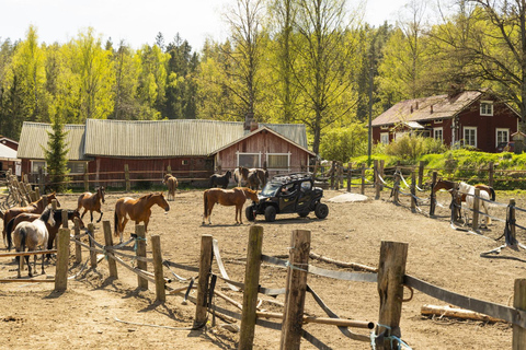 赫尔辛基：驯鹿公园与马厩私人游赫尔辛基：驯鹿公园与马厩私人导览游