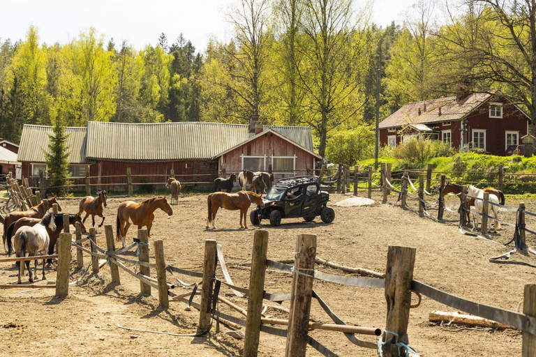 赫尔辛基：驯鹿公园与马厩私人游赫尔辛基：驯鹿公园与马厩私人导览游