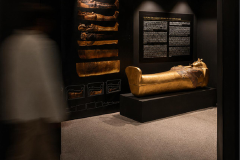WOW Porto: Egyptian Treasures - A journey into ancient Egypt Egyptian Treasures
