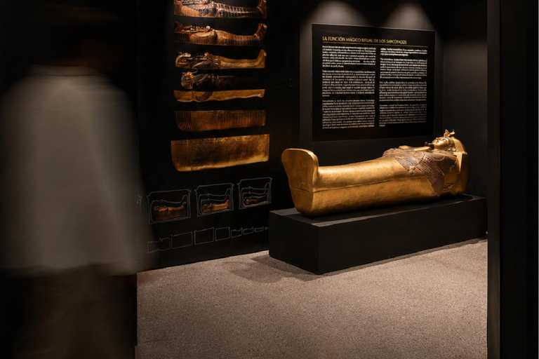 WOW Porto: Egyptian Treasures - A journey into ancient Egypt Egyptian Treasures