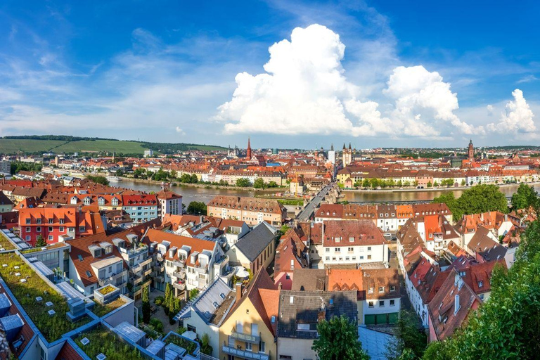 Frankfurt: Würzburg Private Day Tour