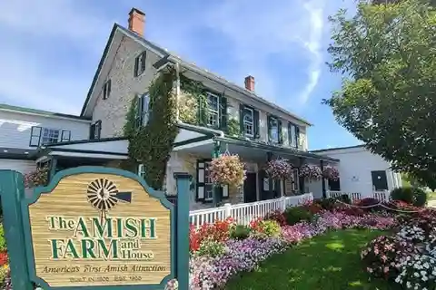 Amish Farm and House 1-Day Tour From Washington D.C.