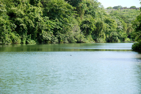 Buggy Safari: Chavón River & Dominican Countryside Tour with Pickup from Bávaro