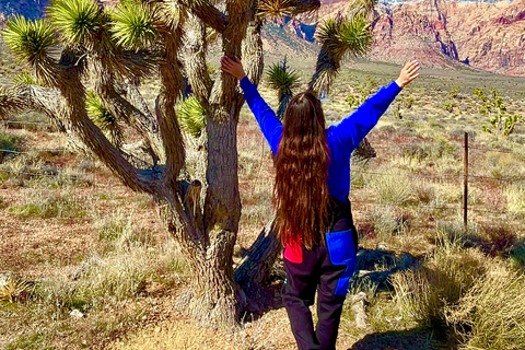 Las Vegas : Aventure privée en voiture dans le Red Rock Canyon