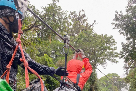 Zanzibar: Masingini Forest, Monkeys & Zipline adventure Masingini Forest, Monkeys & Zipline adventure & transfer