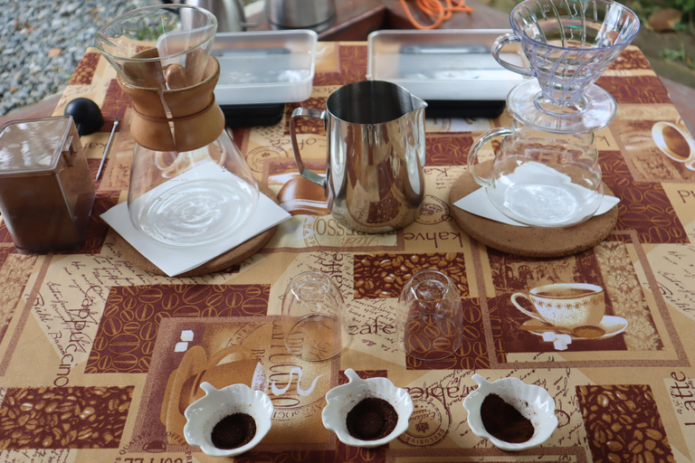 Medellin: Coffee Experience and Workshop