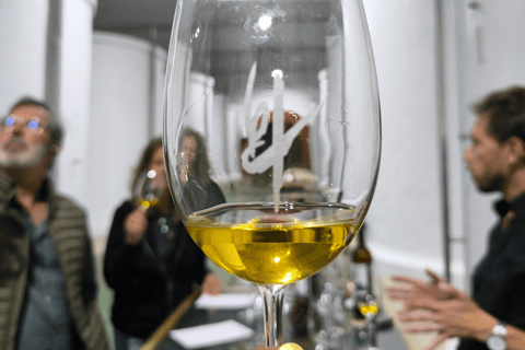 La Palma: Stargazing & Wine Tasting at Bodegas Teneguía