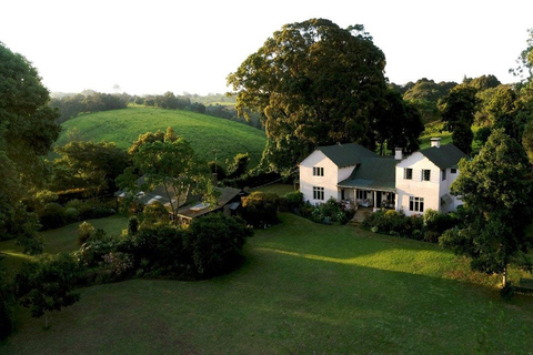 Excursão a uma fazenda de chá saindo de Nairóbi (Kiambethu)