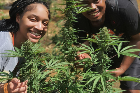 Best In The West Herbal & Farming Tour In Westoreland