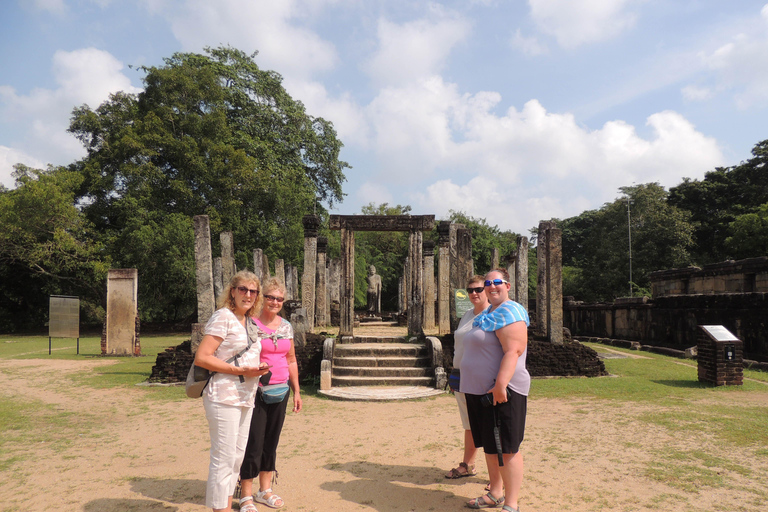 Colombo: Dambulla Cave Temple and Sigiriya Day Trip