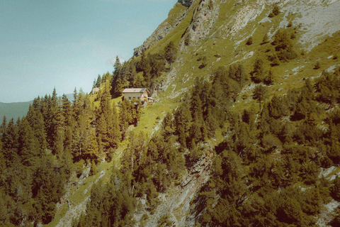 Interlaken: Rosenlaui Hike with Gorge & Alpine Hut Visit