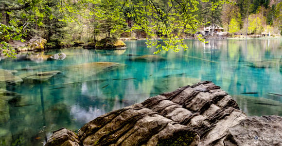 Interlaken: Blausee Escape - Boat ride, alpaca watching