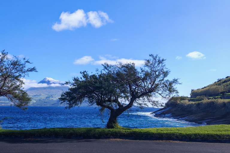 Horta, Faial, Azoren: Wanderungen und Touren mit einem lokalen GuideHorta, Faial, Azoren: Wanderungen und Touren mit lokalem Guide