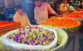 Mumbai Morning Market Tour of Flowers, Fish, and More