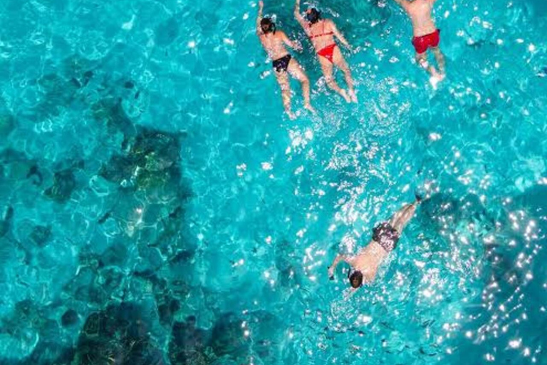 桑给巴尔：姆内姆巴环礁海豚与浮潜之旅私人观光，不含酒店接送服务，不含入场费