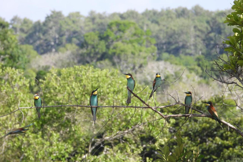 Diani/ Mombasa: Private Shimba Hills Day Safari