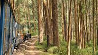 Excursión del día OOTY - Hizvo