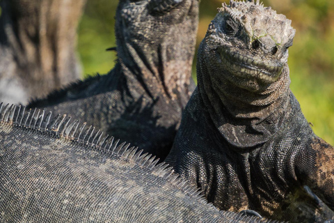 San Cristobal: Highlands, Beach, and Snorkeling Tour