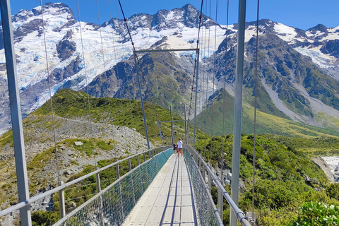 10 Day NZ North to South Island Private Tour from Auckland With Accommodation