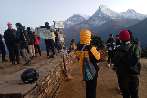 Ghorepani: Wanderung auf dem Poon HillStandard-Option