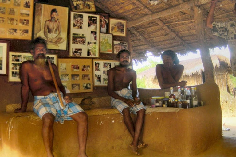 From Sigiriya to Ella Transfer with Vedda Village & More