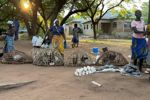 Victoriafallen Zimbabwe Äventyr med dolda pärlor