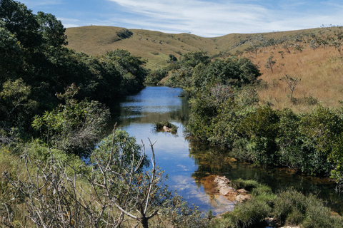 From São Paulo: 5-Day Serra da Canastra Wildlife Safari