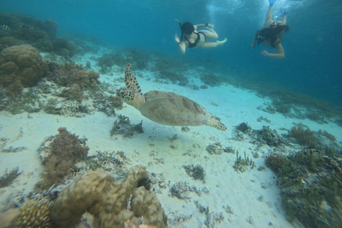 Snorkeling and Sunrise Boat Tour