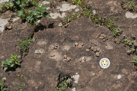 Nairobi: Kariandusi & Hyrax Hill Prehistoric Day Tour