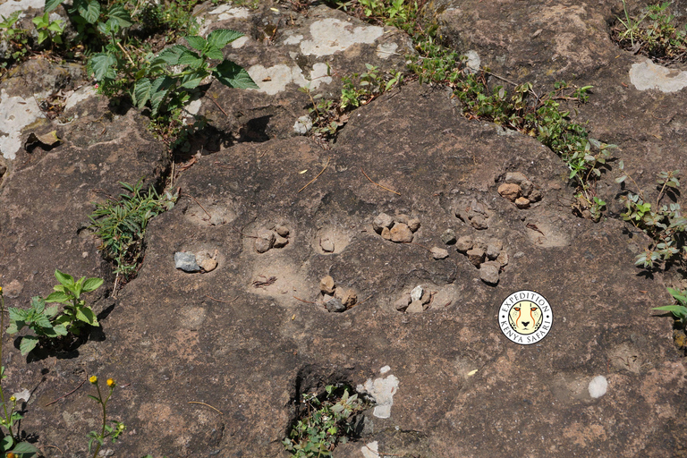 Nairobi: Kariandusi & Hyrax Hill Prehistoric Day Tour