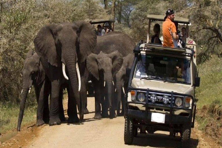 Nairobi: 3-Days Tsavo West Safari