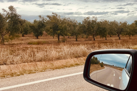 From Seville: White villages & Ronda day trip