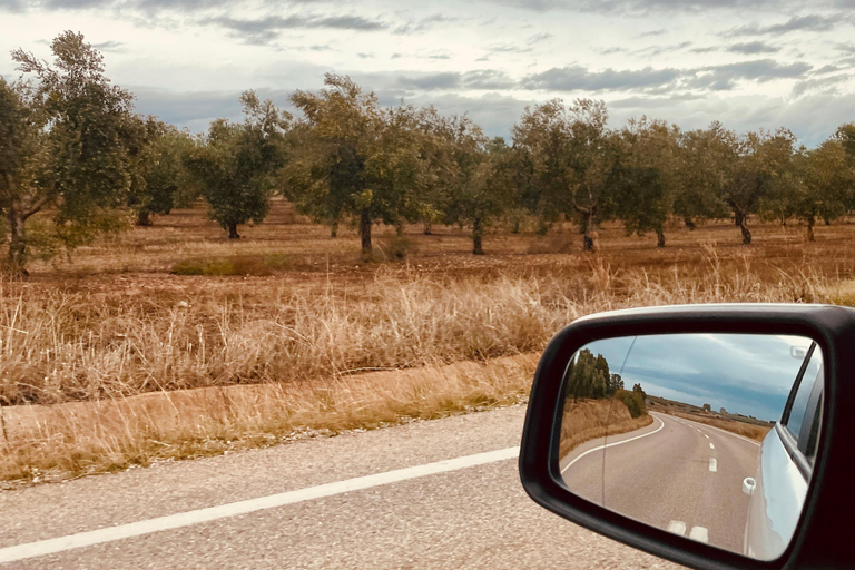 From Seville: White villages & Ronda day trip