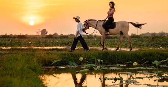 Siem Reap: Horseback Ride & Horse-drawn carriage +Tour Guide