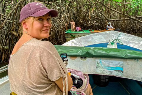 Madu River Boat Safari & Traditional Mask Workshop Visit Pick-up From: Hikkaduwa