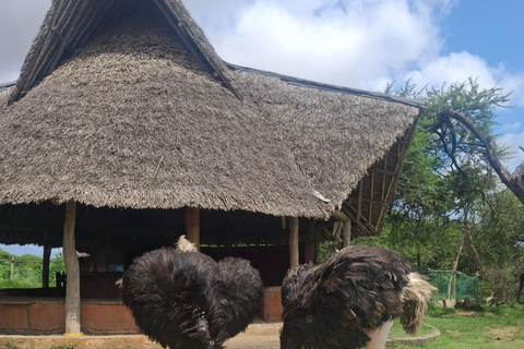 Mombasa: City Tour and Nguuni Nature Sanctuary Day Trip