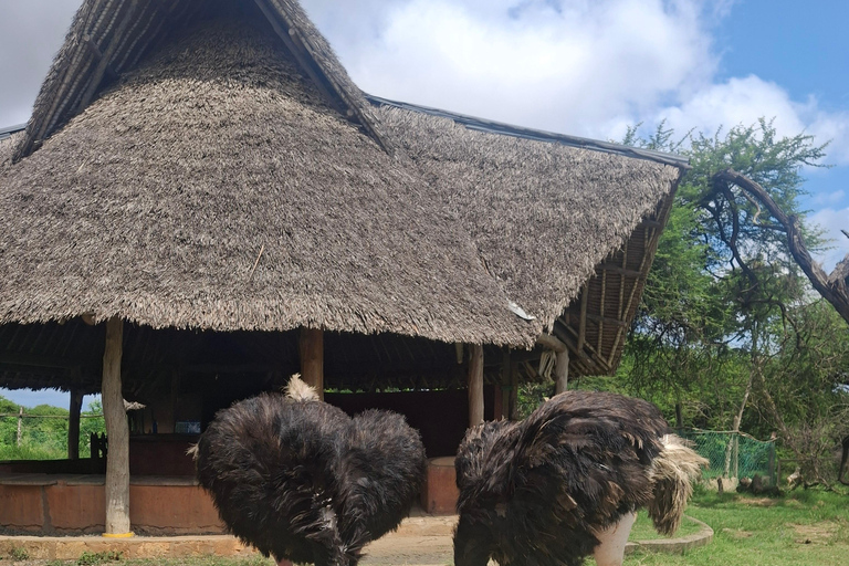 Mombasa: City Tour and Nguuni Nature Sanctuary Day Trip