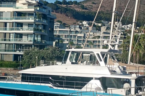 From Cape Town: Hout Bay Cruise and Sunset Tour