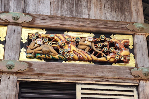 Tokyo: Nikko Private Day Trip with English Speaking Guide Tokyo or Nagoya: Nikko Private Day Trip with Guide