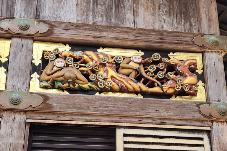 Tokyo: Nikko Private Day Trip with English Speaking Guide Tokyo or Nagoya: Nikko Private Day Trip with Guide