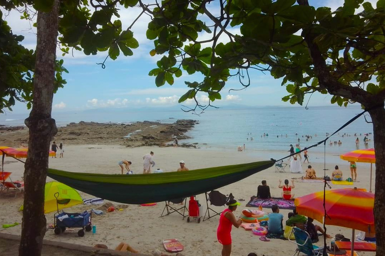 Playa Mantas: Tour guiado de mergulho com snorkel pela manhã perto da praia de JacóPraia Mantas: Tour guiado de mergulho com snorkel pela manhã perto da praia de Jacó