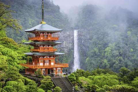 From Osaka/Nagoya: 2-Day Wakayama & Kii Peninsula Trip