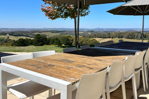 Tour del vino della McLaren Vale e del centro storico di Hahndorf