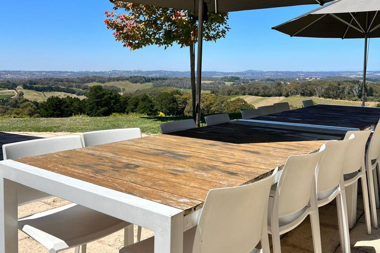 Tour del vino della McLaren Vale e del centro storico di Hahndorf