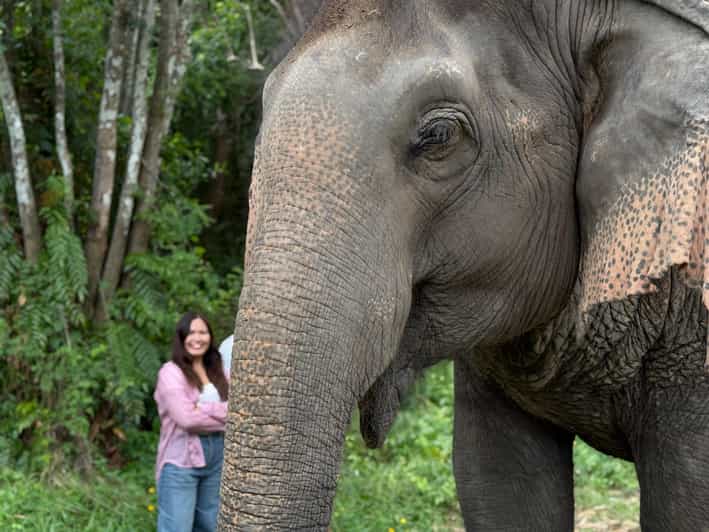 Koh Samui: Jungle Safari Jeep Tour with Elephants Sanctuary