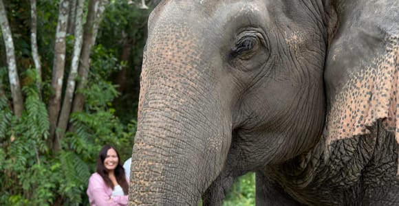 Koh Samui: Jungle Safari Jeep Tour with Elephant Sanctuary