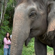 Koh Samui: Jungle Safari Jeep Tour with Elephant Sanctuary