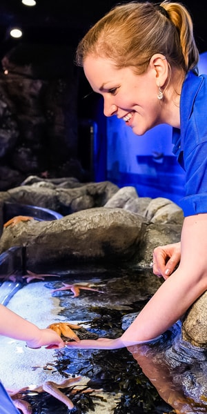 London: SEA LIFE Entry Ticket | GetYourGuide